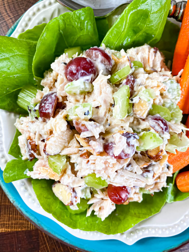 chicken-salad-with-grapes-the-skinnyish-dish