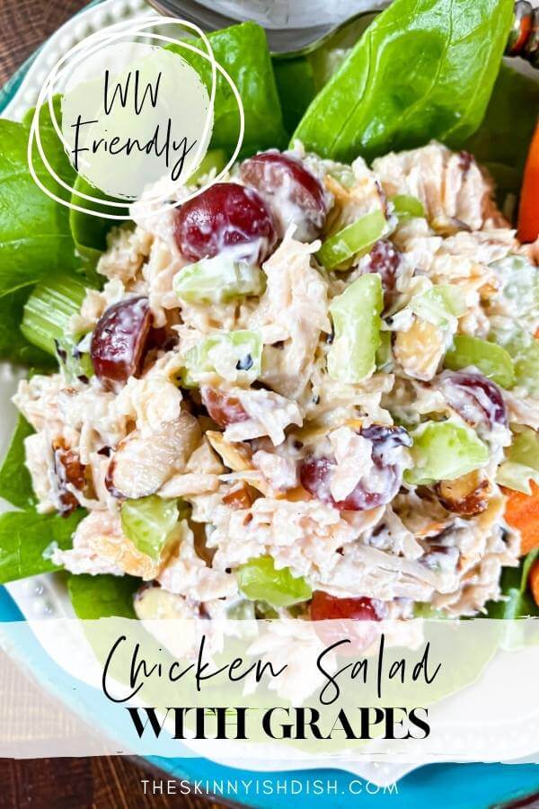 Chicken Salad with Grapes - The Skinnyish Dish